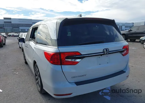 2024 Honda Odyssey Ex-L z USA, uszkodzony, nr VIN 5FNRL6H62RB013597